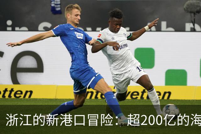浙江的新港口冒险：超200亿的海上巨兽开工啦！